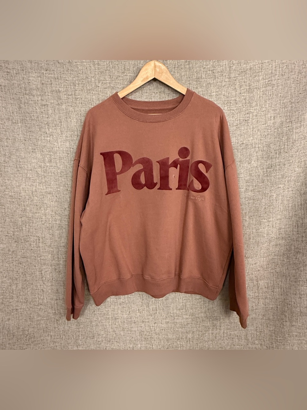NWT American Eagle Outfitters Paris Graphic Sweatshirt in Dusty Mauve NWT
